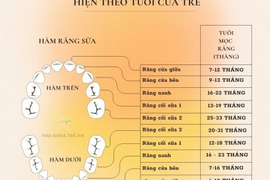 Những điều mẹ cần biết khi trẻ mọc răng hàm